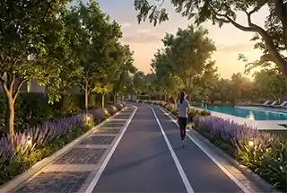 Landscaped Garden
